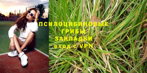 амф Володарск