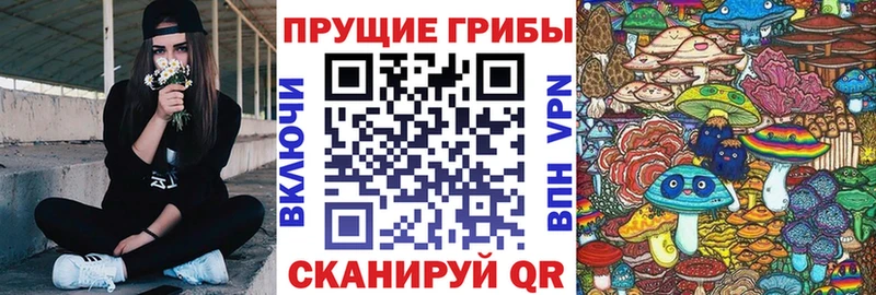 Псилоцибиновые грибы мицелий  Енисейск 