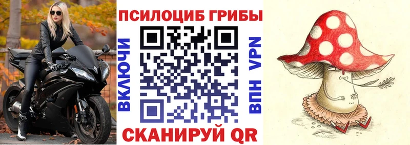 Галлюциногенные грибы MAGIC MUSHROOMS Енисейск